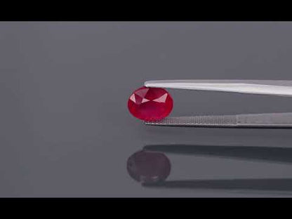 Primary video