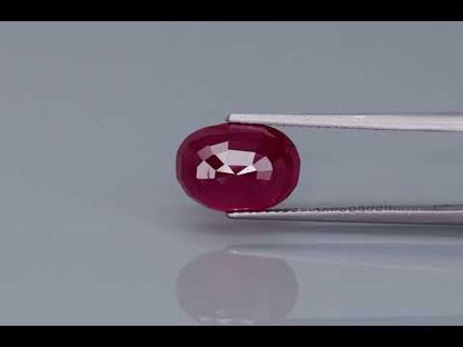 Primary video