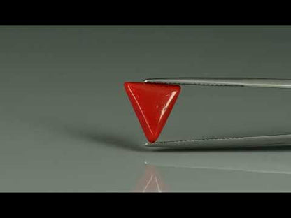Primary video