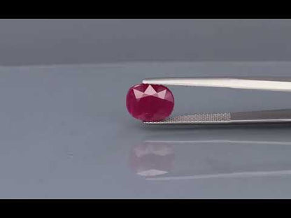 Primary video