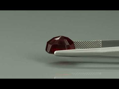 Primary video