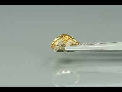 Primary video