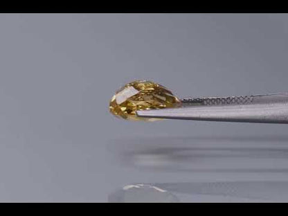 Primary video