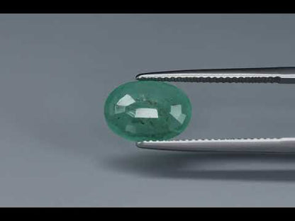 Primary video