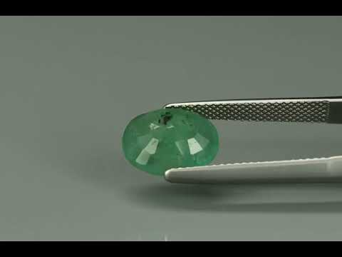 Primary video