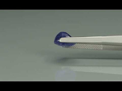 Primary video
