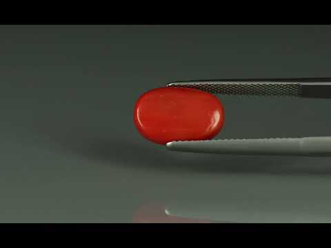 Primary video