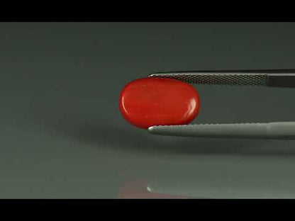 Primary video