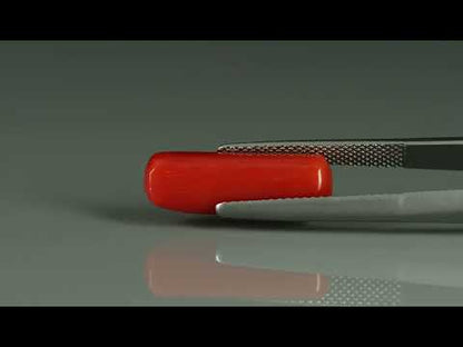 Primary video