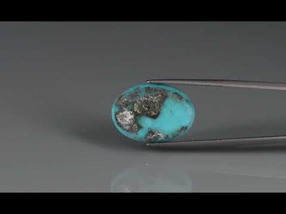Primary video