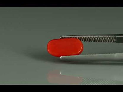 Primary video