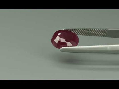 Primary video