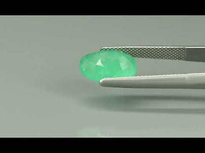 Primary video