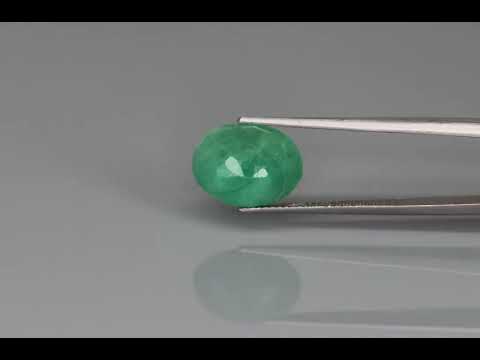 Primary video