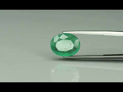 Primary video