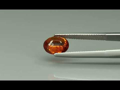 Primary video