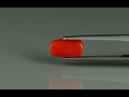 Primary video