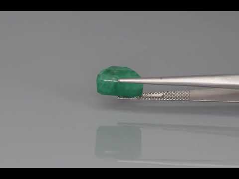 Primary video