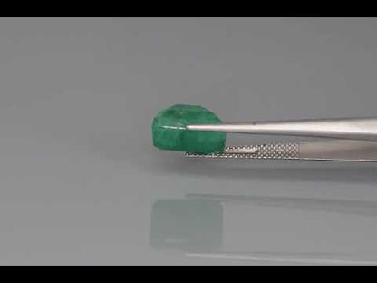 Primary video