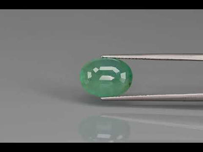 Primary video