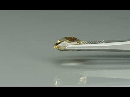 Primary video