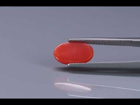 Primary video