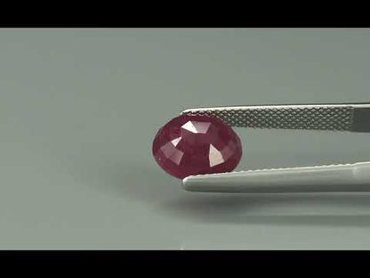 Primary video