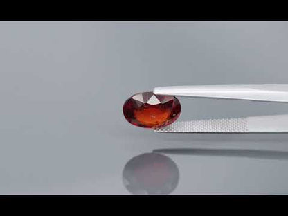 Primary video