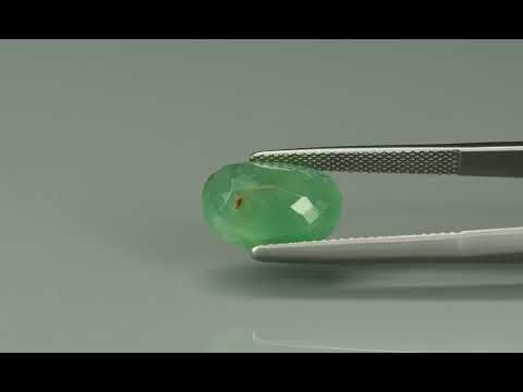 Primary video