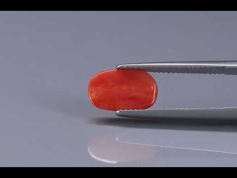 Primary video