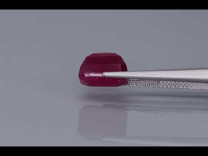 Primary video