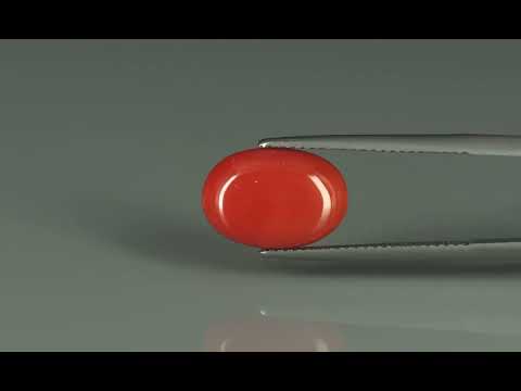 Primary video