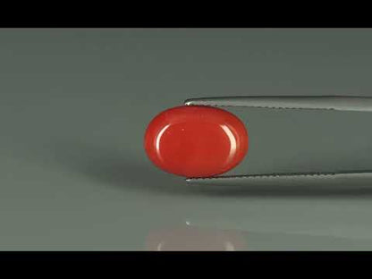Primary video