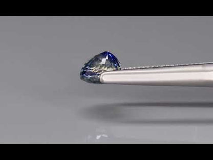 Primary video