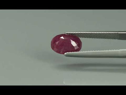 Primary video