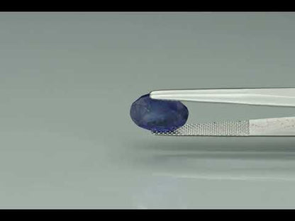 Primary video