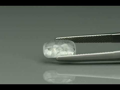 Primary video