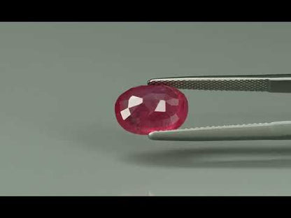 Primary video