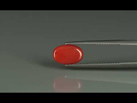 Primary video