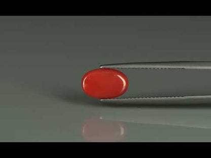 Primary video