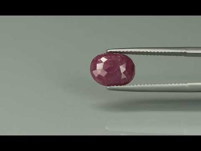 Primary video