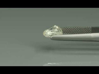 Primary video