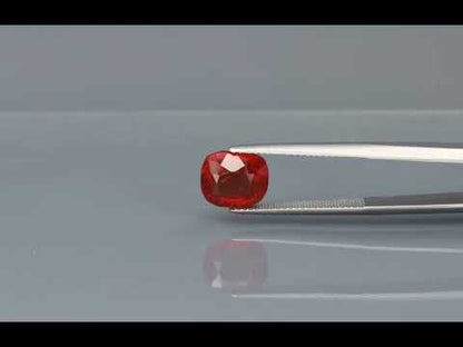 Primary video