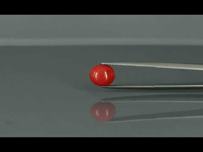 Primary video
