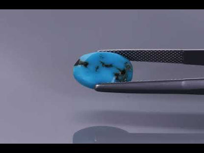 Primary video