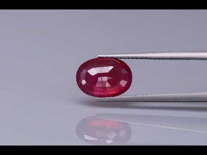 Primary video