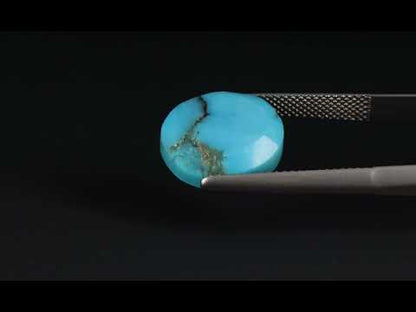 Primary video