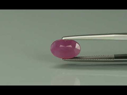 Primary video