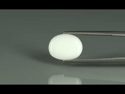 Primary video