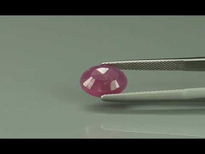 Primary video